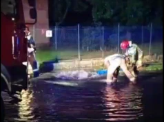 Nie miał prawa jazdy i wjechał w hydrant. 7,5 tys. złotych kary dla 20-latka