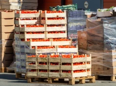 Koniec z „eko” bez pokrycia. Od 27 września jedno słowo może słono kosztować