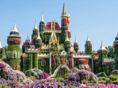 Dubai Miracle Garden otwiera nowy sezon. Ponad 150 milionów kwiatów na środku pustyni