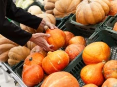 Wszyscy kupują tę dynię, a potem zupa wychodzi wodnista. Zobacz, którą wybrać do garnka
