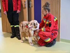 Małopolskie psy ratownicze otrzymają bezpłatną opiekę weterynaryjną