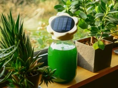 Wyhoduj spirulinę na własnym parapecie. Genialny pomysł polskiej studentki