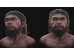 Tak wyglądał pierwszy Homo sapiens? Naukowcy odtworzyli jego twarz