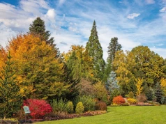 Arboretum Wojsławice niedaleko Wrocławia zaprasza w sobotę na niezłą imprezę