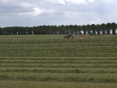 Właściciel sprzedaje dzierżawione pole. Kiedy dzierżawca może mieć prawo pierwokupu?