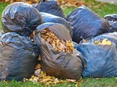 Liście odbiorą za darmo. Mieszkańcy dostaną 10 bezpłatnych worków