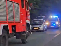 Zderzenie z dzikim zwierzęciem na drodze wojewódzkiej nr 747. Wprowadzono ruch wahadłowy