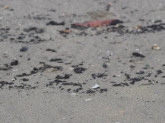 Czarna substancja na plaży nad Bałtykiem. Służby ustalą, czym jest