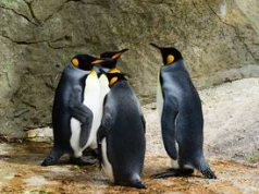 Linux, GRUB i UKI: kiedy pożegnamy się z bootloaderem?