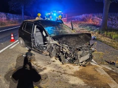 Volkswagen uderzył w drzewo, kobietę i mężczyznę przewieziono do szpitala