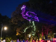 Światła, lasery i mnóstwo uśmiechów! Festiwal „Światło i dźwięk” w Strzegomiu