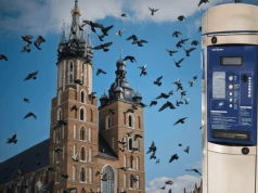 Scam w Krakowie. Uwaga na fałszywe kody QR na parkomatach