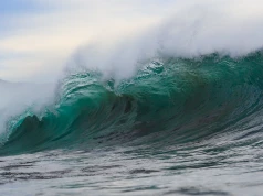 Tsunami z 2011 roku stworzyło rybią hybrydę. Po kilku pokoleniach sytuacja się skomplikowała