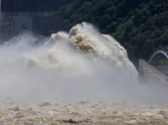 Niezwykły efekt tsunami z 2011 roku. Japońscy naukowcy zbadali rybie hybrydy