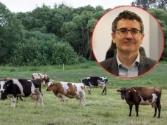 130 tys. rolników czeka na dopłaty za dobrostan. ARiMR mówi, kiedy wypłaci pieniądze
