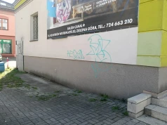 Zielona Góra. Graficiarz grasuje po mieście i niszczy elewacje