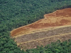 Deforestacja brazylijskiej Amazonii rekordowo niska. To dobra wiadomość dla klimatu