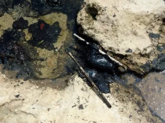 Podjęto ważny krok nad polskim morzem. Tutaj turyści nie wejdą na plaże