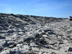 Dziwne czarne grudki nad Bałtykiem. Plaże w Ustce zamknięte do odwołania