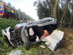 Kobiór: problemy zdrowotne przyczyną poważnego wypadku drogowego