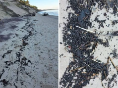 Bałtyk wyrzucił czarne, lepkie grudki. Zamknięto plaże