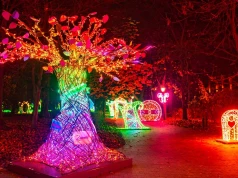 „Alicja w Krainie Czarów” rozświetli Łódź. Park Miliona Świateł wraca do ZOO