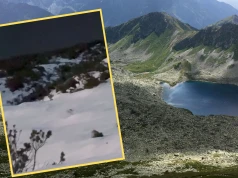 Zauważyli go w pobliżu szlaku. "Czasami poranki potrafią być naprawdę emocjonujące"