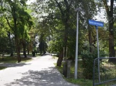 Remont Plant Jakubowskiego w Tarnowie jeszcze się nie rozpoczął, a już budzi dużo emocji. Mieszkańcy obawiają się wycinki drzew