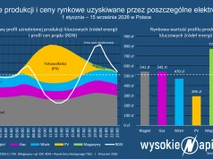 Właściciele fotowoltaiki oddają zyski, których nie mają. Rynek zastąpi ustawę?
