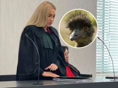 Wyrok za zabicie strusia uchylony. Powodem orzekający "neosędzia"