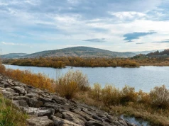 Polskie jezioro znika w oczach. Odsłania stare drogi, drzewa i krzewy