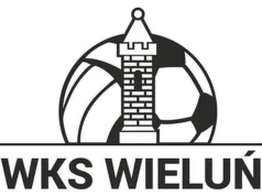 Mecz z beniaminkiem na początek sezonu. Siatkarze WKS-u zaczynają walkę o punkty. Jest zmiana w kadrze