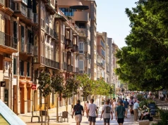Costa del Sol, Majorka czy Wyspy Kanaryjskie? Jak wybrać region Hiszpanii na wakacje