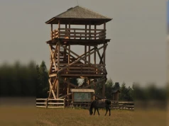 Nie zobaczymy stąd jesiennej panoramy Roztocza. Popularna wieża zamknięta