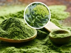 Polska matcha zyskuje na popularności. Ten zielony napój powstaje pod Hajnówką