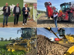Jak kopać buraki, aby nie stracić plonu. Pokaz zbioru buraków w Kobylnikach