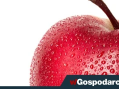 Wyższa opłata cukrowa zabije polskie sady