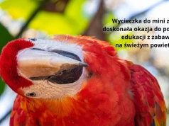 Jak zorganizować wycieczkę do mini zoo z dzieckiem