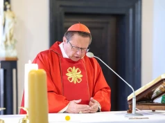 Zmiana personalna w Archidiecezji Krakowskiej. Kard. Grzegorz Ryś postawił na kobietę