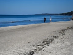 Są wyniki badań próbek substancji znalezionej na plażach w rejonie Ustki