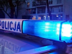 Wypadek na S52 w powiecie cieszyńskim. Dwa auta zderzyły się z dziką zwierzyną. Utrudnienia w kierunku Bielska-Białej