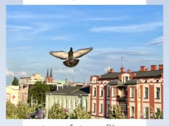 Częstochowska Aleja w obiektywie Ewy Marii Powroźnik