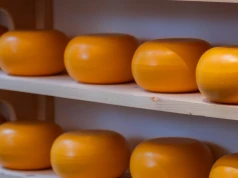 Kolejna sesja wzrostowa na GDT. Czy to trwała zmiana koniunktury na rynku mleczarskim?